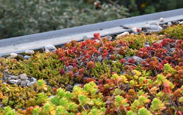 the cost of Tomich green roof installation