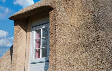 Tomich thatch roof disadvantages