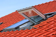 Tomich roof window